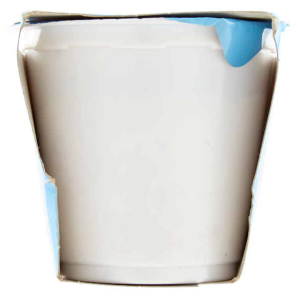 Selex Yogurt Magro Prugne e Cereali 2x125 g