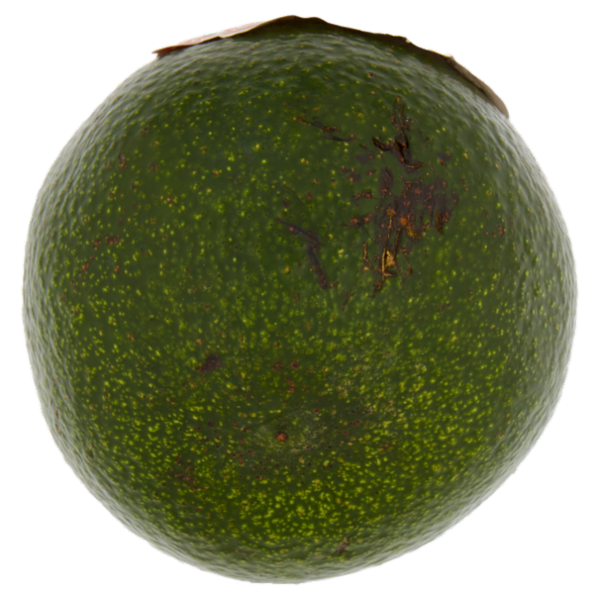 Spreafico Avocado Verde 300 g