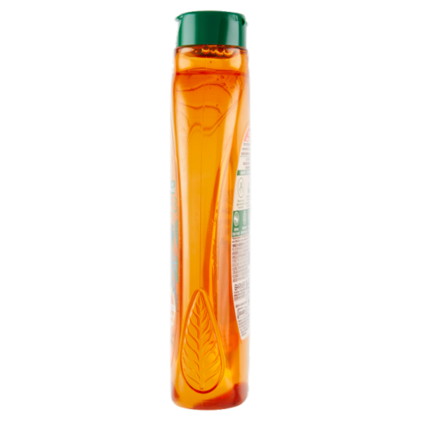 Garnier Ultra Dolce Shampoo 2in1 per Bambini all' albicocca e fiori di cotone, 300 ml