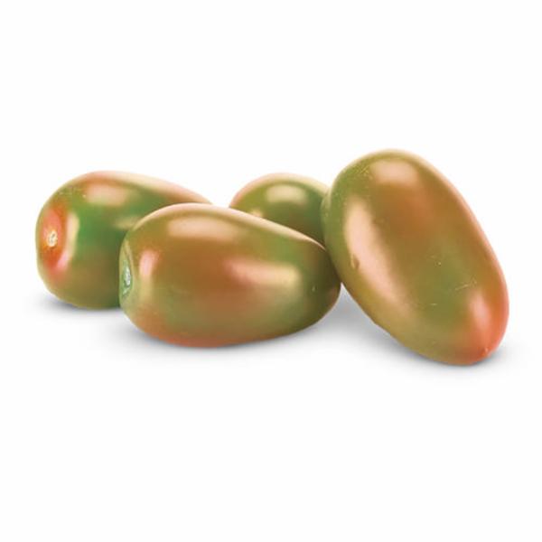 POMODORI OBLUNGO VERDI