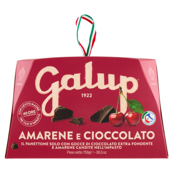 Galup Amarene e Cioccolato 750 g