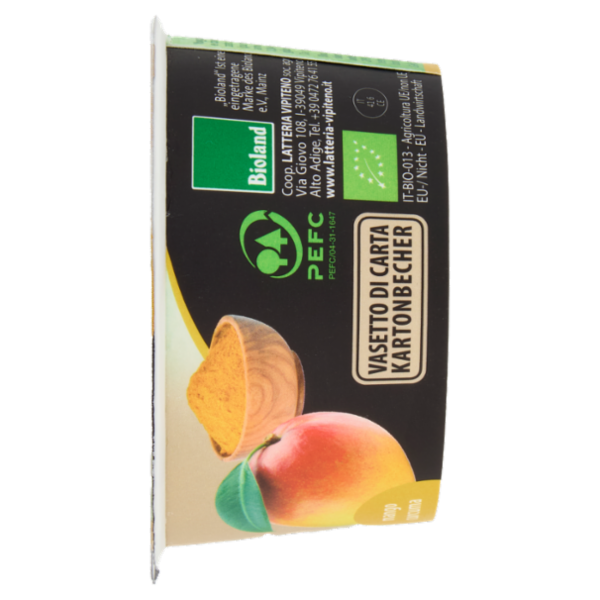 Sterzing Vipiteno bio yogurt Mango Curcuma 170 g