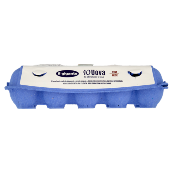 IL GIGANTE 10 Uova da allevamento a terra Uova Medie