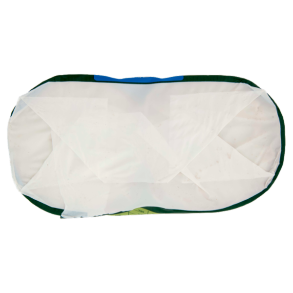 Delverde Granfetta del Benessere Vitalità 40 Fette 300 g