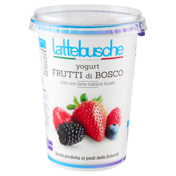 lattebusche yogurt Frutti di Bosco 500 g