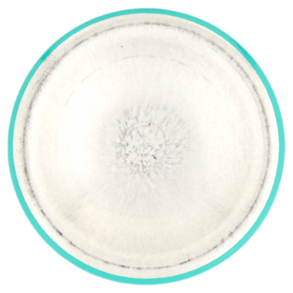 L'Oréal Paris Ritocco Perfetto Spray Istantaneo Ritocco Radici, i Castani, 75 ml