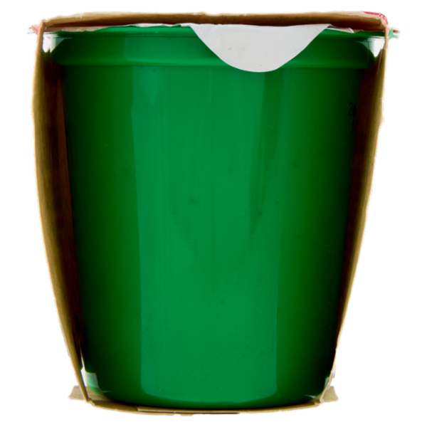 Soia Lovers Mirtillo 2 x 125 g