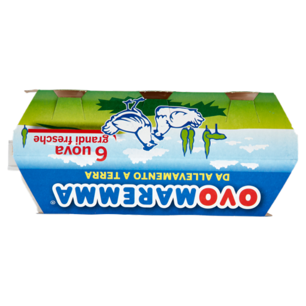 Ovomaremma 6 uova grandi fresche da Allevamento a Terra