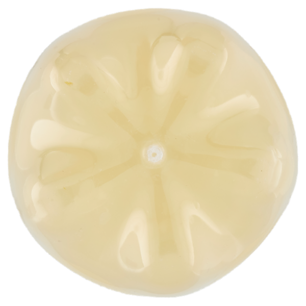 Consilia Pompelmo bibita gassata 1,5 L
