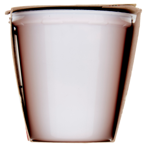 Consilia Yogurt Magro Senza Lattosio Fragola 2x125 g