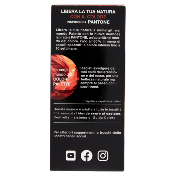 Palette Pantone 18-1658 Pompeian Red Rosso Ramato