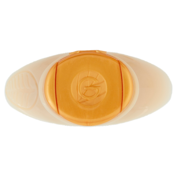 Garnier Ultra Dolce Shampoo Rituale d'Argan per capelli secchi 300 ml