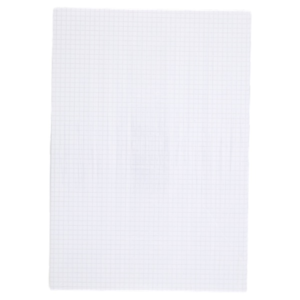 Selex Fogli Protocollo Formato A4 30 Fogli 80 g Quadretti 5 mm