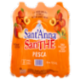 SanThè Sant'Anna Pesca 6 x 1,5 L