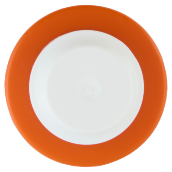 Alama Professional Curl Re-Activator Acqua Ravviva Ricci 150 ml