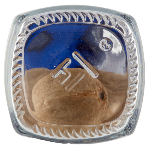 Consilia Noce Moscata Intera 5 pz