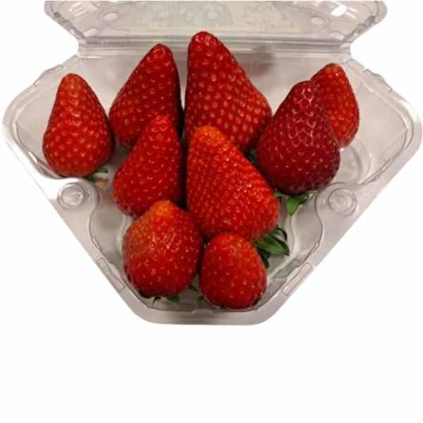 Fragole Sarde Di Terralba G.250
