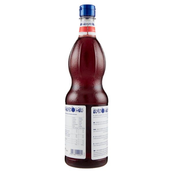 Fabbri Mixy bar Cranberry 1 L