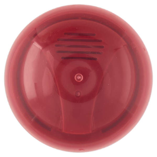 Intesa Pour Homme Schiuma da Barba Barbe Dure con Burro di Karité e Olio di Baobab 300 mL