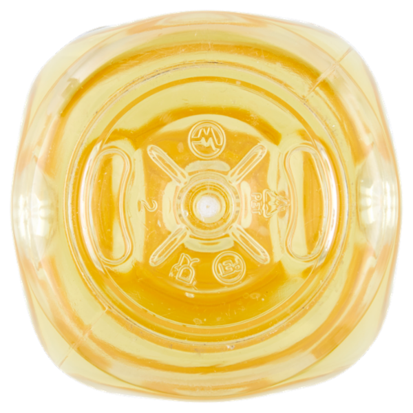 Arioli Olio di semi di Girasole 1 l