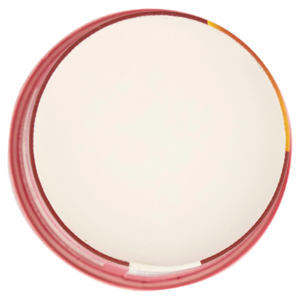 le Naturelle Gelato Squisito e Leggero* a Base di Albume d'Uovo gusto Cioccolato 250 g