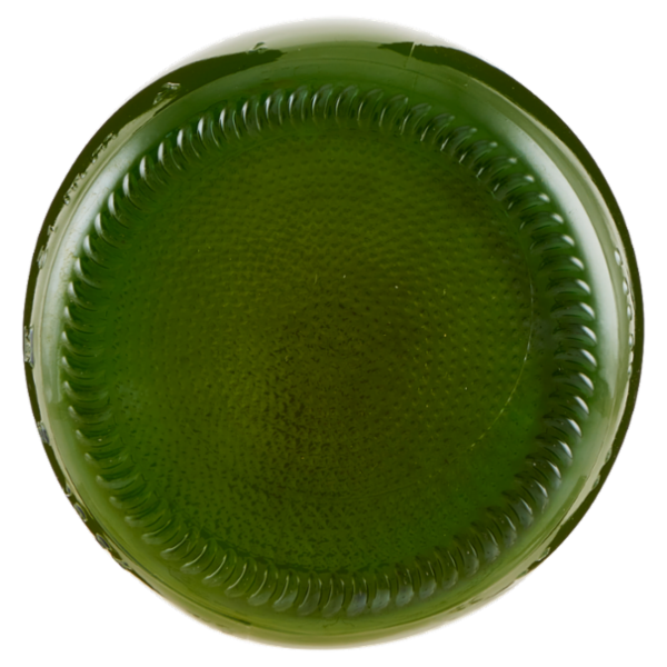 Consilia Bevanda Mela e Zenzero Biologica 100% Italia 750 ml