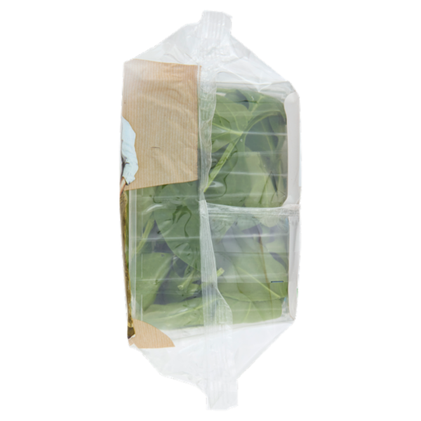 Bonduelle Spinacino 110 g