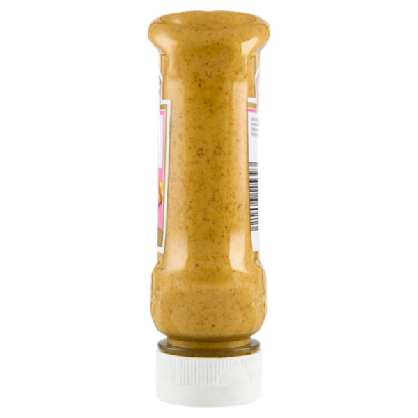 Heinz Salsa Curry Mango 220 ml