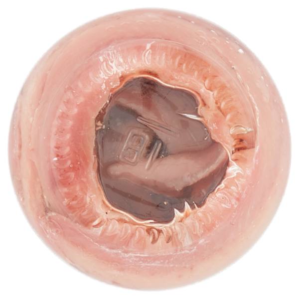 Zarotti Filetti di Alici Classici in Olio di Oliva 90 g