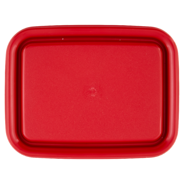 Selex Contenitore per Alimenti Freezer/Frigo Rettangolare 1,70 L