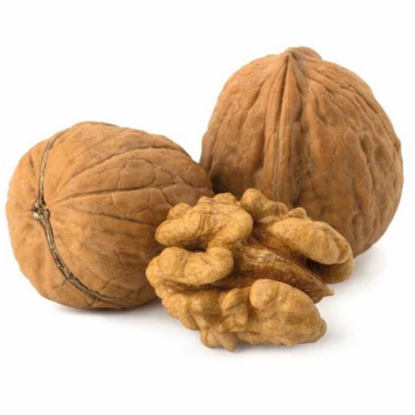 Eurocereali Noci Guscio Busta 500g