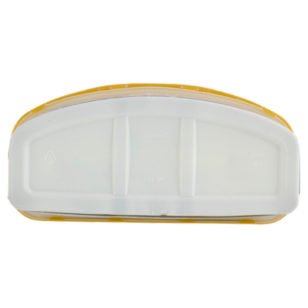 DIXAN Discs Expert Igiene 19pz (313,5g)