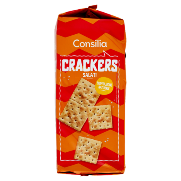 Consilia Cracker Salati in Superficie 16x31,25 g