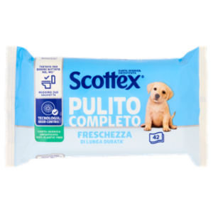 Scottex Pulito Completo Carta Igienica Umidificata 42 Pz
