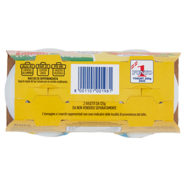 Centrale del latte Vicenza Yogurt Magro Frutta Frullata Fragola 2 x 125 g