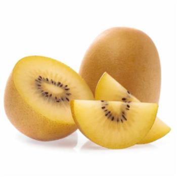 Kiwi Sungold Zespri G 500