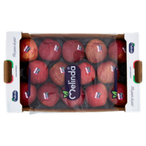 Melinda Fuji Calibro 70/75 Mm 2,3 Kg