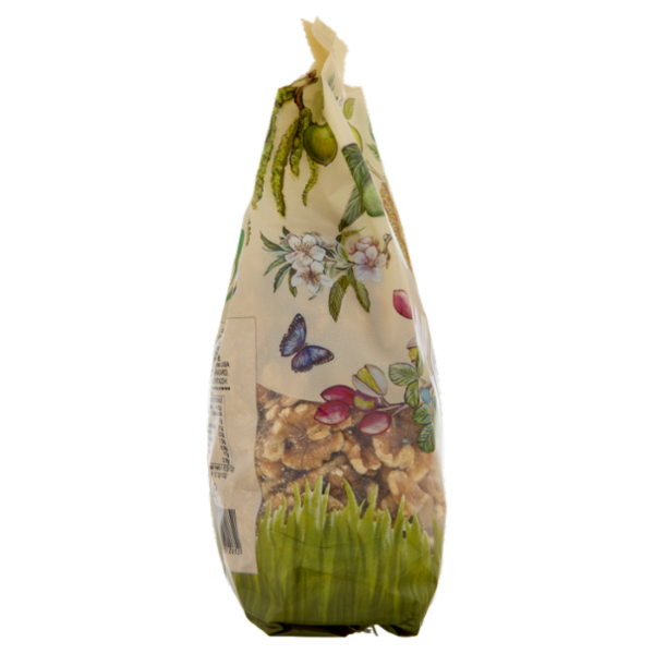 Mister Nut Wellness Noci Sgusciate 500 g