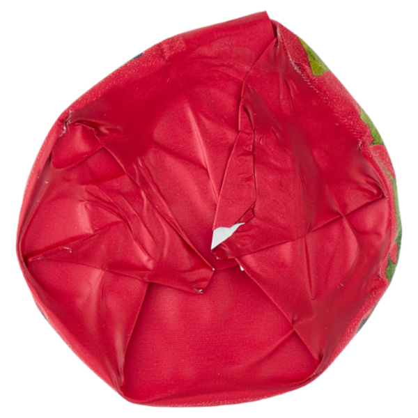 Gran Cereale Protein + Biscotti con 16% di Proteine, Cioccolato Fondente e Scorze d'Arancia 250g