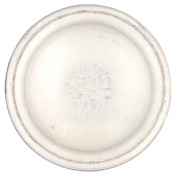 Dove Men+care advance Extra fresh Anti-Perspirant 150 ml