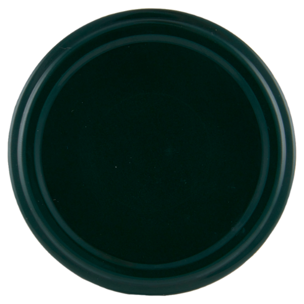 Bio Gustiamo Olive Leccino denocciolate con olio extra vergine d'oliva 190 g