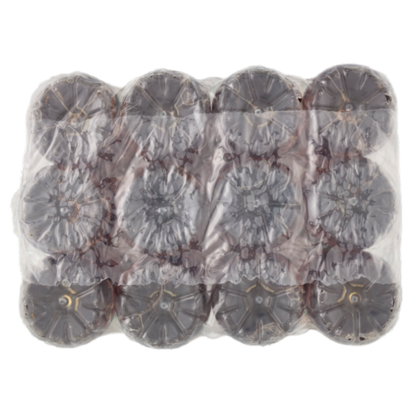 FUZE TEA, Tè Nero Pesca con una nota di Rosa PET 12 x 400 ml