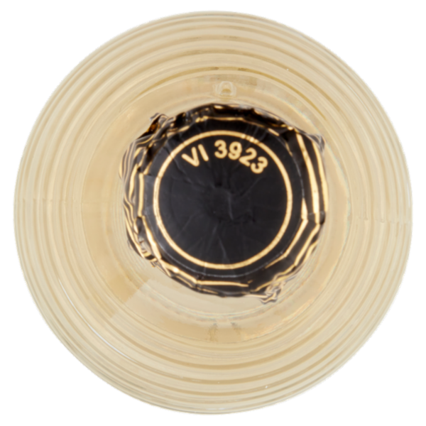 20 Righe Millesimato Extra Dry Vino Spumante 0,75 l