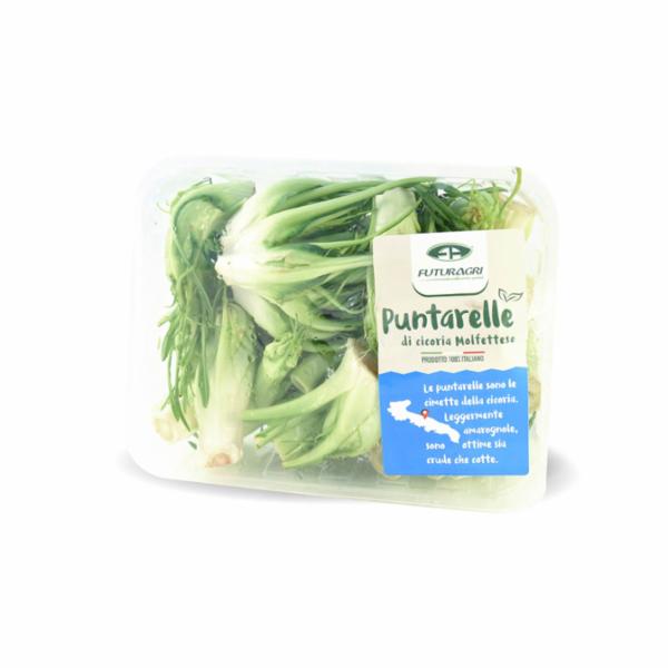 CATALOGNA PUNTARELLE FUTURAGRI GR.400