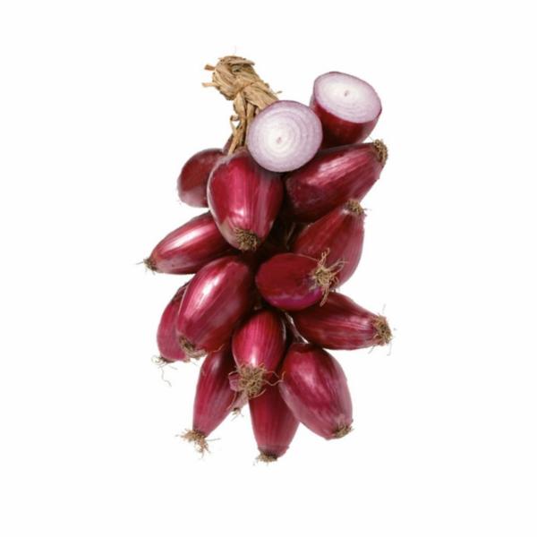 Cipolla Rossa Intrecciata