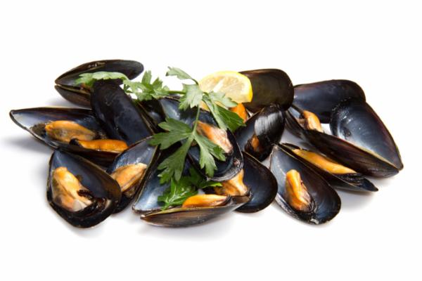 Cozze Spagna