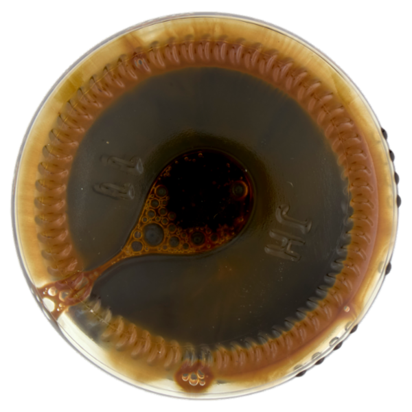 MaySoy Salsa di Soia 250 ml