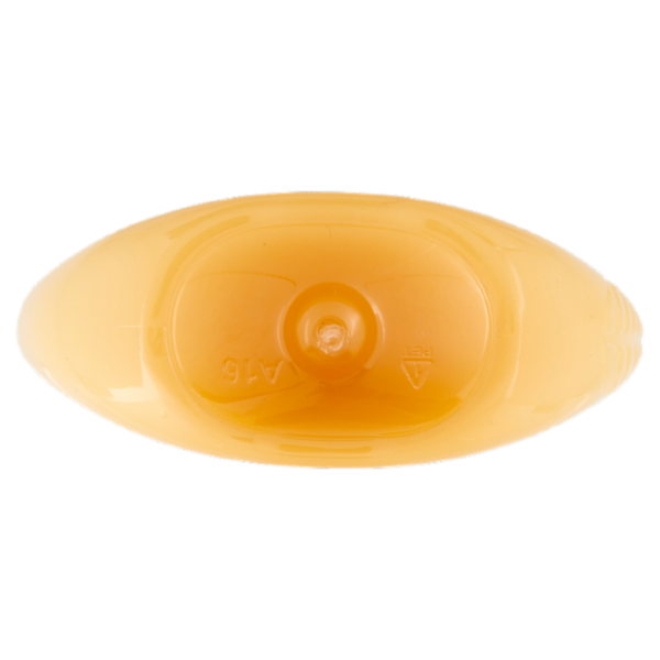 Garnier Ultra Dolce Shampoo Tesori di Miele, con Pappa Reale e Miele per capelli fragili, 250 ml