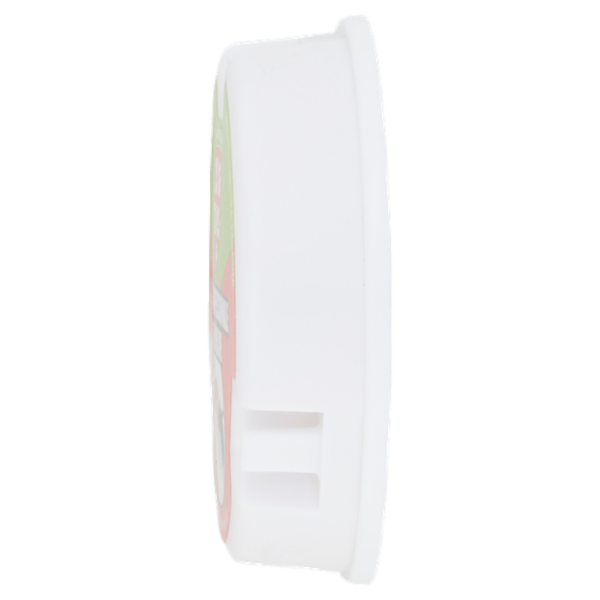 Zig Zag Insetticida Esca Professionale Formiche 10 g