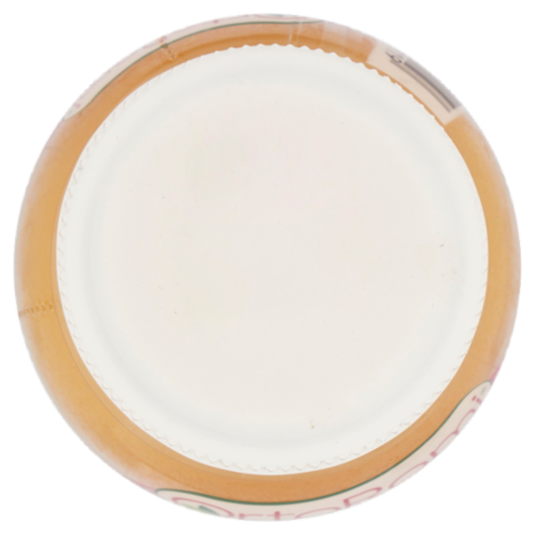 OrtoRomi Estratto Tropicale frutto della passione, mango, ananas, banana e mela 250 ml